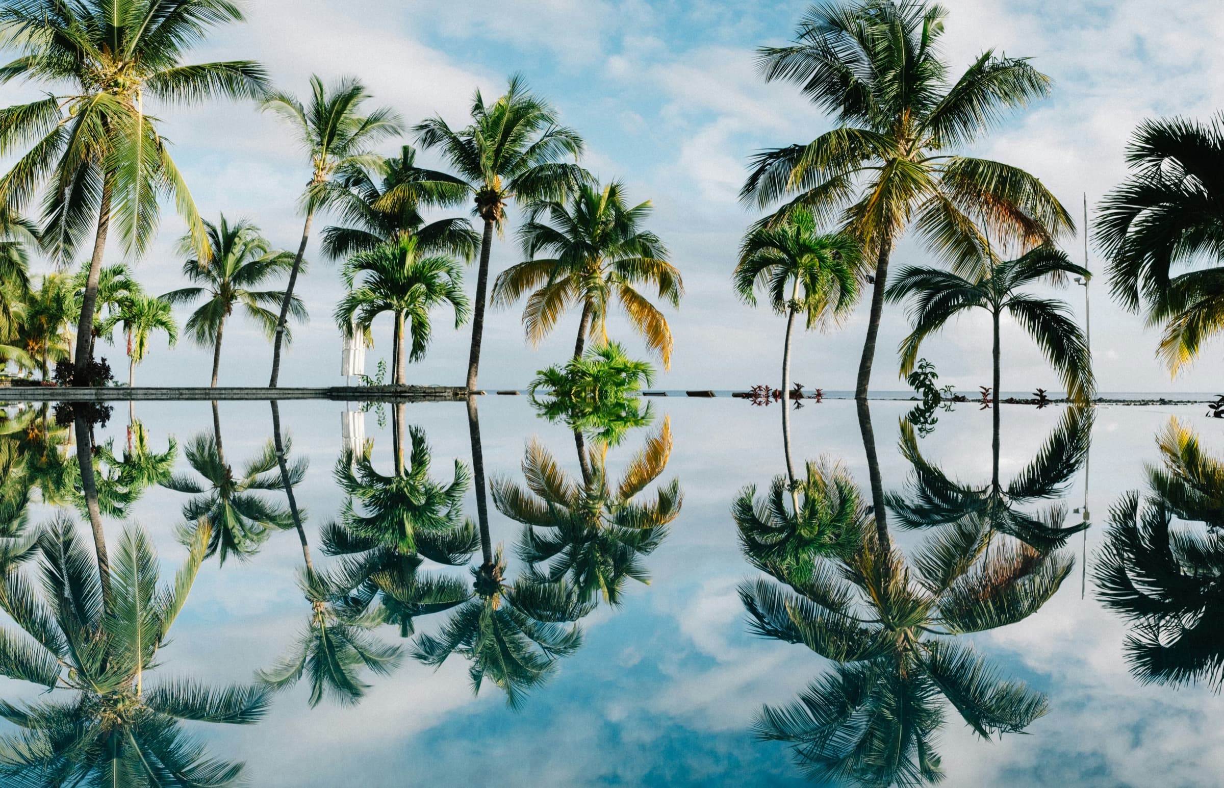 Costa Oeste EE.UU. y Hawaii