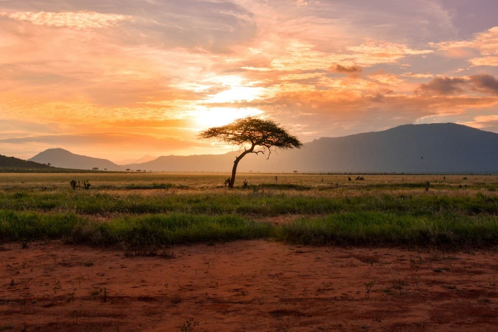 Sudáfrica y Seychelles