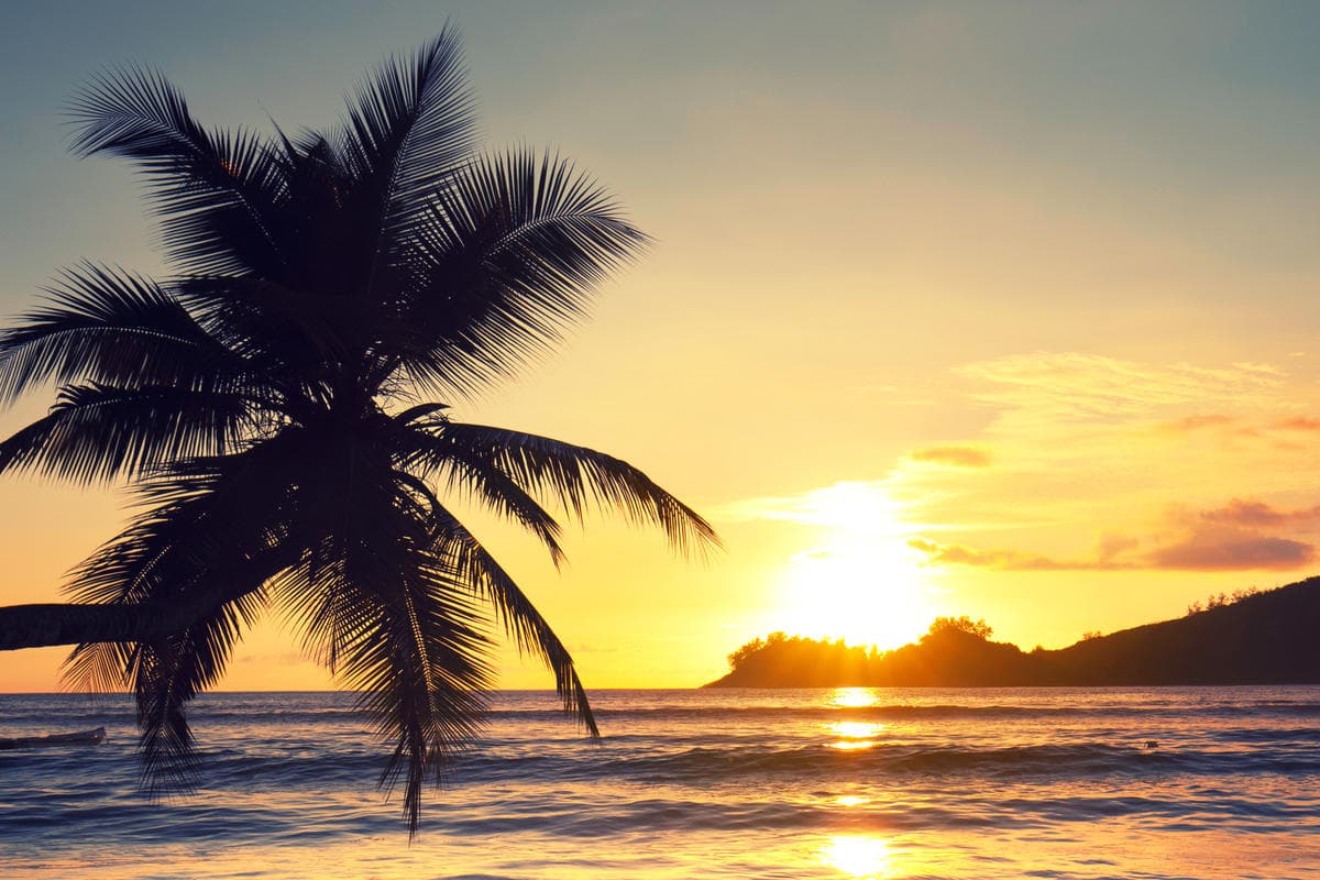 Sudáfrica y Seychelles